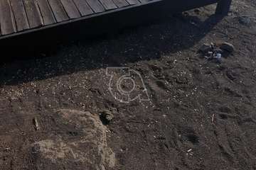  El solárium de Taliarte, un foco de infección/TA.